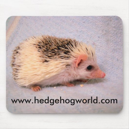 Wenig Pinto mousepad (Vorne)