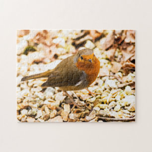 Wenig Robin Redbreast Puzzle