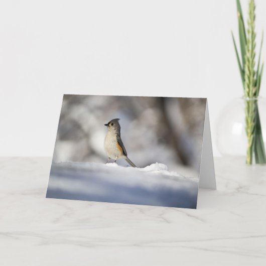 Wenig Schnee-Vogel Karte (Vorderseite)