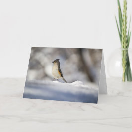 Wenig Schnee-Vogel Karte