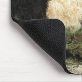 Wenig schwarzes Beltie Kalb Mousepad (Ecke)