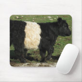 Wenig schwarzes Beltie Kalb Mousepad (Mit Mouse)