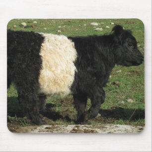 Wenig schwarzes Beltie Kalb Mousepad