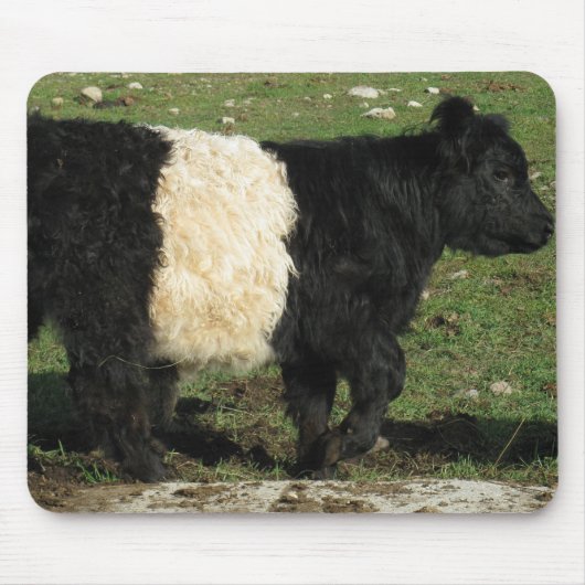 Wenig schwarzes Beltie Kalb Mousepad (Vorne)