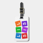 Wenig SIS-Gewohnheits-Gepäckanhänger Gepäckanhänger (Vorderseite vertikal)