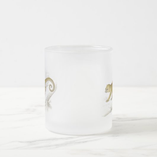 Wenig Vintages Zeichnen des kinkajou Mattglastasse (Mittel)