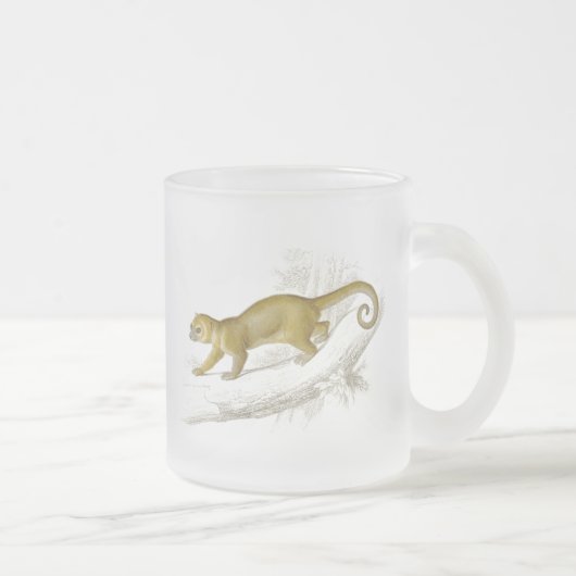 Wenig Vintages Zeichnen des kinkajou Mattglastasse (Rechts)