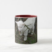 Wenig weiß tasse (Zentrum)