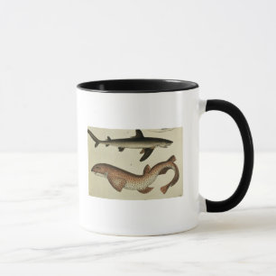Wenige gepunktete kleine Haie Tasse