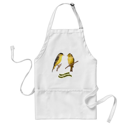 Wenige Goldfinches Schürze (Vorne)