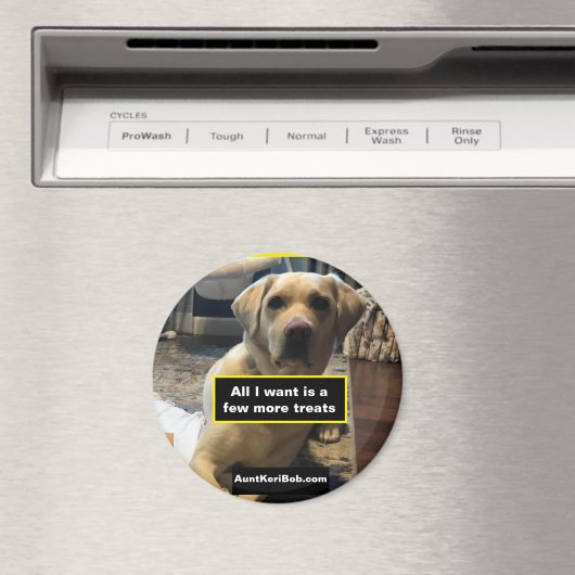 Wenige Leckereien Magnet (In Situ (Geschirrspüler))