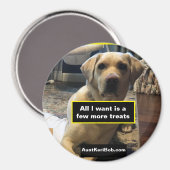 Wenige Leckereien Magnet (Vorderseite/Rückseite)