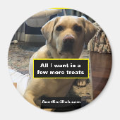 Wenige Leckereien Magnet (Vorne)