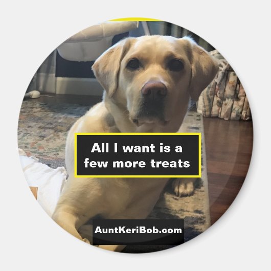 Wenige Leckereien Magnet (Vorne)