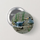 Wenige Seeschwalben Button (Vorne & Hinten)