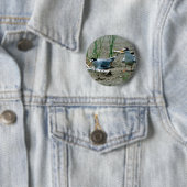 Wenige Seeschwalben Button (Beispiel)