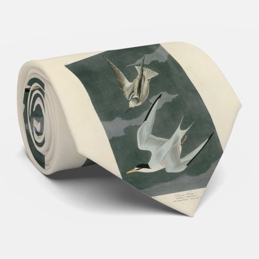 Weniger (zumindest) Tern - Audubons Vögel in Ameri Krawatte (Gerollt)
