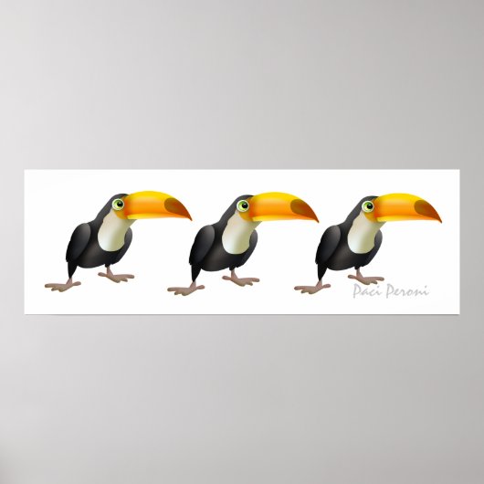 Wenn 2 Toucan, 3 Toucan auch - SRF Poster (Vorne)