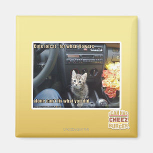 Wenn Blume nicht ausreichen Magnet