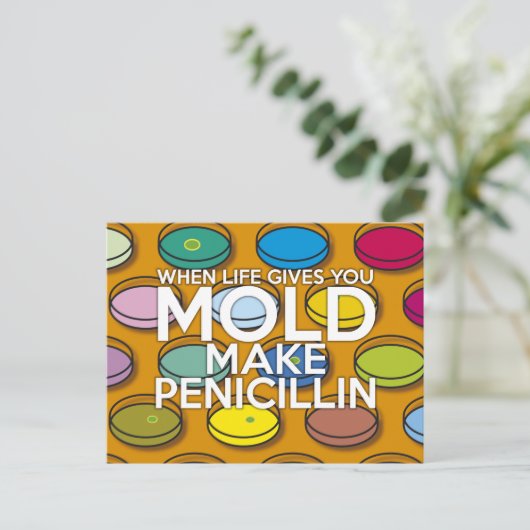 WENN DAS LEBEN DIR DEN MOLD GEBEN WIRD POSTKARTE (Stehend Vorderseite)