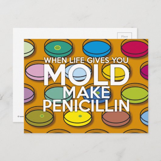 WENN DAS LEBEN DIR DEN MOLD GEBEN WIRD POSTKARTE (Vorne/Hinten)