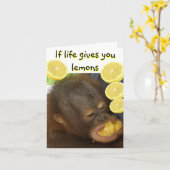 Wenn das Leben dir Lemonen gibt Karte (Gelbe Blume)