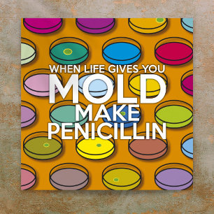WENN DAS LEBEN DIR SCHIMMEL GIBT, MACH PENICILLIN  POSTER