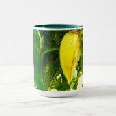 Wenn das Leben einem Zitronen gibt Tasse (Zentrum)