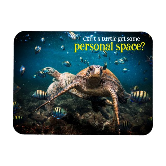 Wenn das Leben hart wird, behalt einfach zu schwim Magnet (Horizontal)