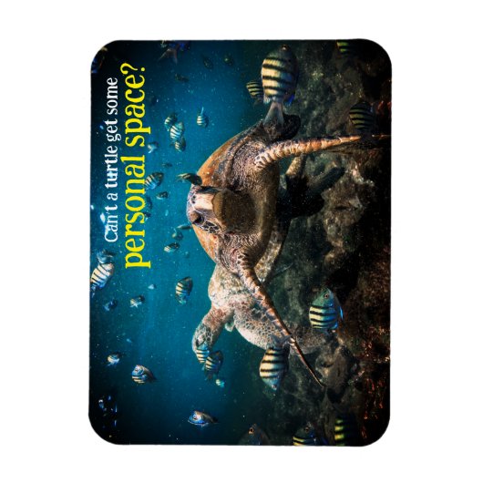 Wenn das Leben hart wird, behalt einfach zu schwim Magnet (Vertikal)