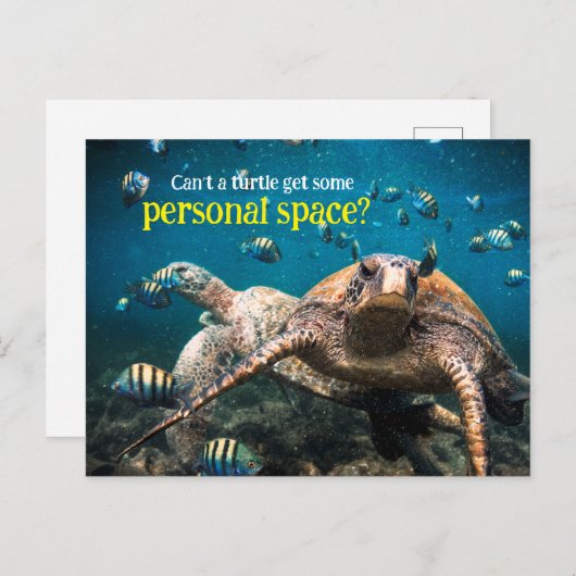 Wenn das Leben hart wird, behalt einfach zu schwim Postkarte (Vorne/Hinten)