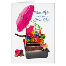 Wenn das Leben Ihnen Katzenklo lustige Katze