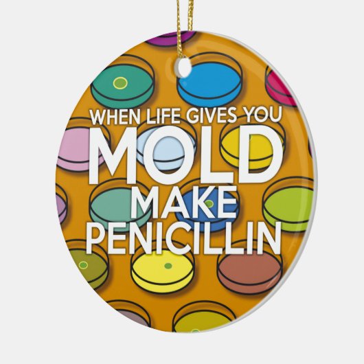 WENN DAS LEBEN IHNEN MOLD GIBT, MACHEN SIE PENICIL KERAMIK ORNAMENT (Links)