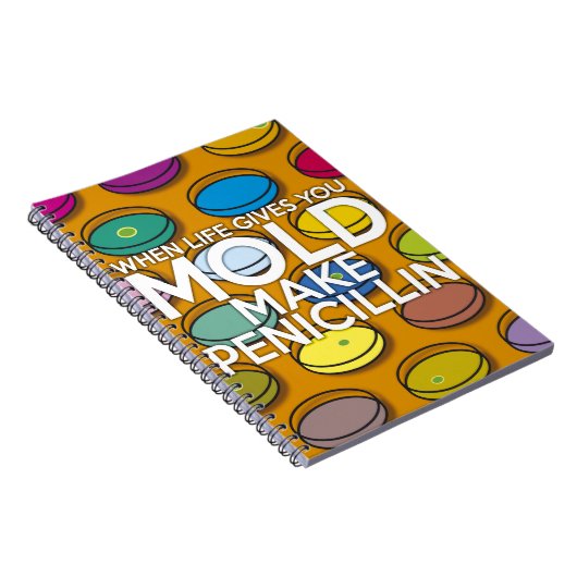 WENN DAS LEBEN IHNEN MOLD GIBT, MACHEN SIE PENICIL NOTIZBLOCK (Rechte Seite)