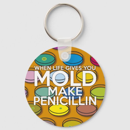 WENN DAS LEBEN IHNEN MOLD GIBT, MACHEN SIE PENICIL SCHLÜSSELANHÄNGER (Vorderseite)