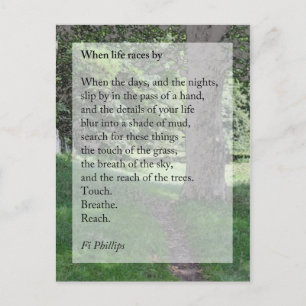 Wenn das Leben nach Postkarte läuft