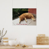 Wenn das Leben zu schwer wird Katze (2) Poster (Küche)