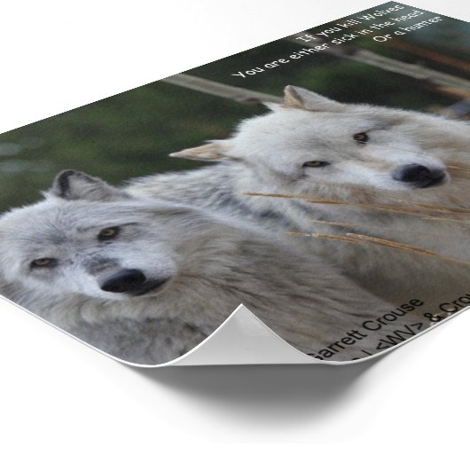 Wenn deine Wölfe.. Poster (Ecke)