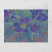 Wenn der Krokus blüht Postkarte (Vorderseite)