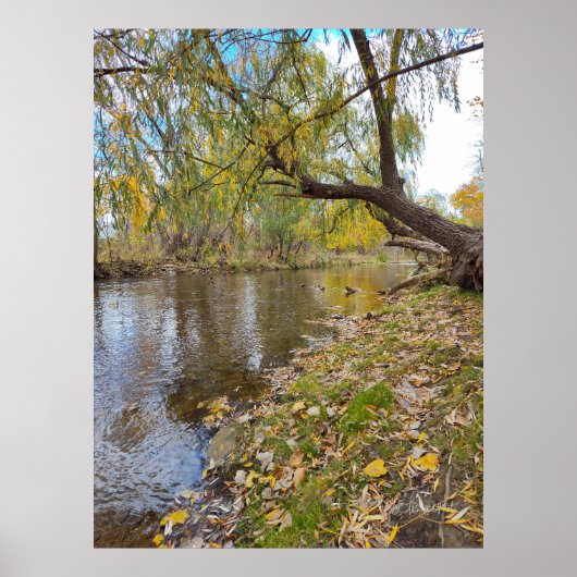 Wenn die Blätter eine Melodie abspielen Poster (Vorne)