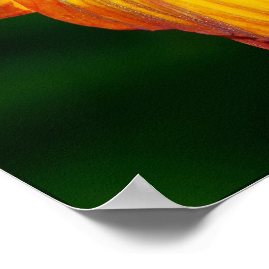 Wenn die Blume nicht blüht... Poster (Ecke)