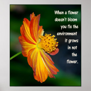 Wenn die Blume nicht blüht... Poster