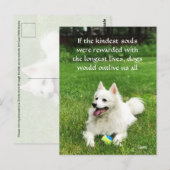 Wenn die Kindest-Soule - Postkarte (Vorne/Hinten)