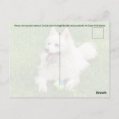 Wenn die Kindest-Soule - Postkarte (Rückseite)