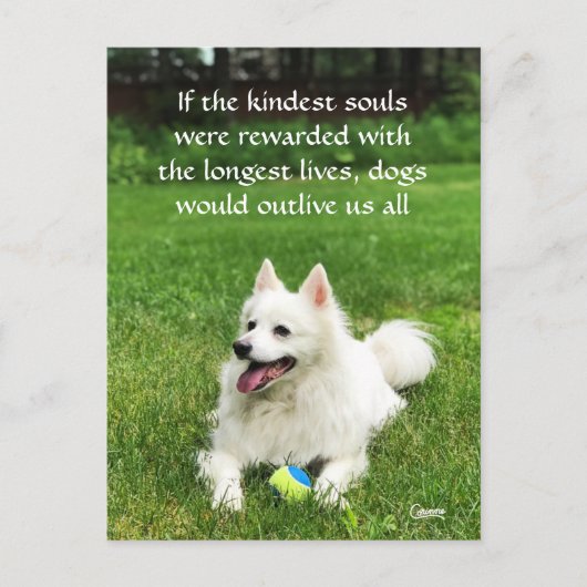 Wenn die Kindest-Soule - Postkarte (Vorderseite)