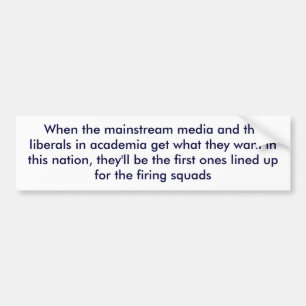 Wenn die Mainstreammedien und die Liberalen in… Autoaufkleber