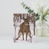Wenn die Natur ruft Postkarte (Stehend Vorderseite)