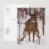 Wenn die Natur ruft Postkarte (Vorne/Hinten)