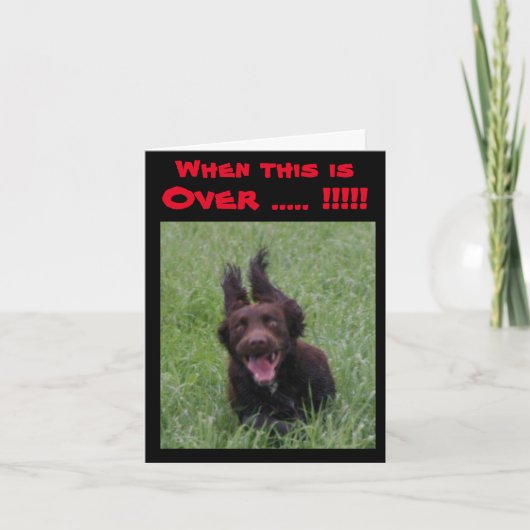 wenn diese Karte mit ekstatischem Hund überstimmt (Vorderseite)