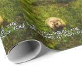 Wenn du der Boden wärst, würde ich dir das Verpack Geschenkpapier (Rolleneckpunkt)